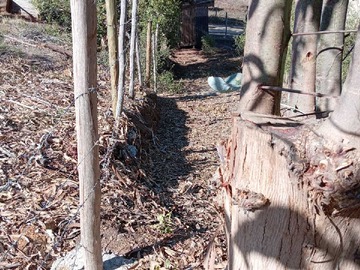Imagen 6