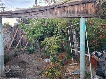 Imagen 7