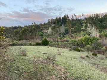 Venta / Terreno / Florida