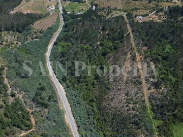 Imagen 7