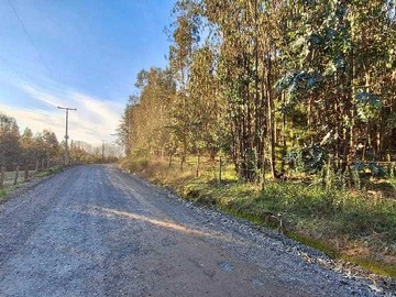 Venta / Terreno / Florida