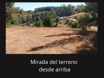 Venta / Terreno / Florida