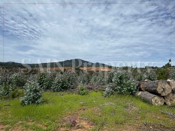 Venta / Terreno / Florida