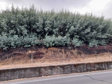 Imagen 6