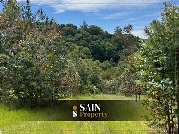 Venta / Terreno / Florida