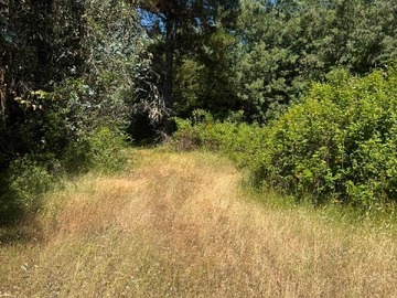 Venta / Terreno / Florida