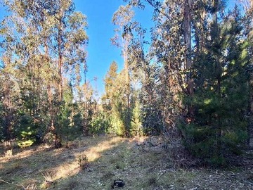 Venta / Terreno / Florida