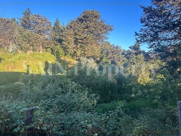 Venta / Terreno / Florida