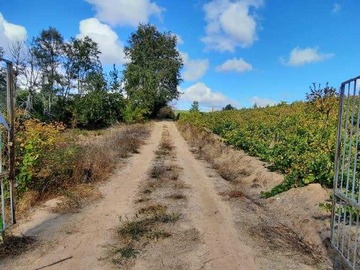 Venta / Terreno / Florida