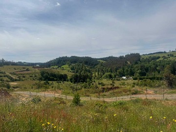 Venta / Terreno / Florida