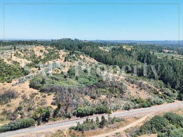 Venta / Terreno / Florida