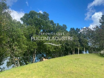 Venta / Terreno / Freire