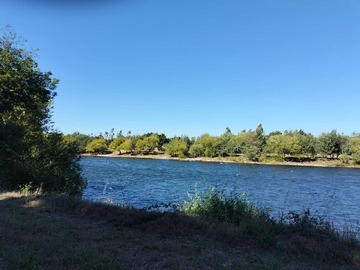 Venta / Terreno / Freire