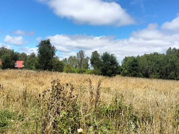 Venta / Terreno / Freire