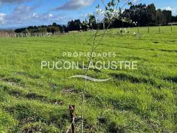 Venta / Terreno / Freire