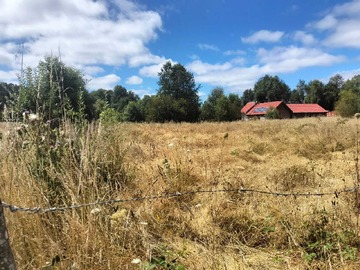 Venta / Terreno / Freire