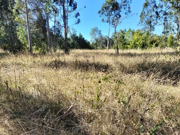 Venta / Terreno / Freire