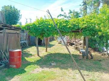 Imagen 7