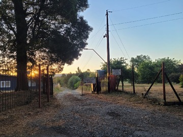 Venta / Terreno / Freire