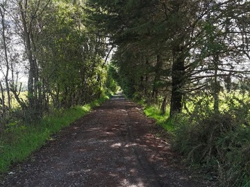 Venta / Terreno / Freire