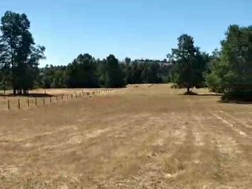 Venta / Terreno / Fresia