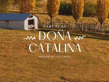 Venta / Terreno / Fresia