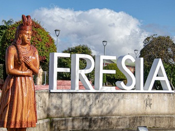 Venta / Terreno / Fresia