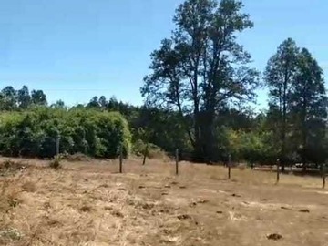 Venta / Terreno / Fresia