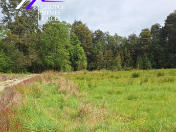 Venta / Terreno / Frutillar