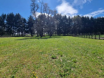 Venta / Terreno / Frutillar