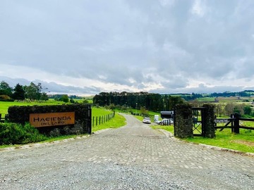 Venta / Terreno / Frutillar