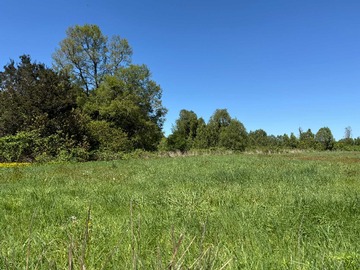 Venta / Terreno / Frutillar