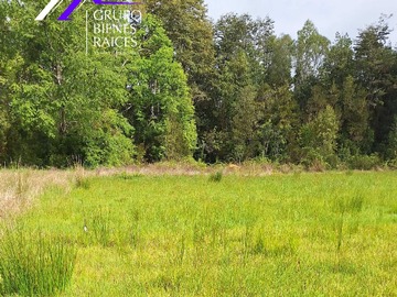 Venta / Terreno / Frutillar