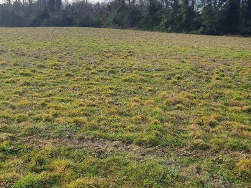 Venta / Terreno / Frutillar