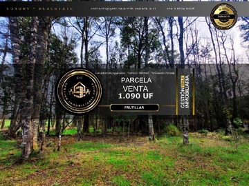 Venta / Terreno / Frutillar