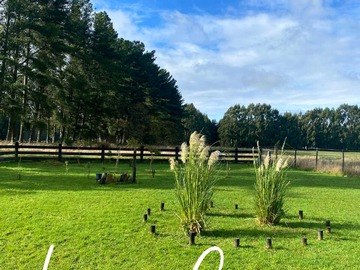 Venta / Terreno / Frutillar