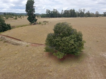 Venta / Terreno / Frutillar