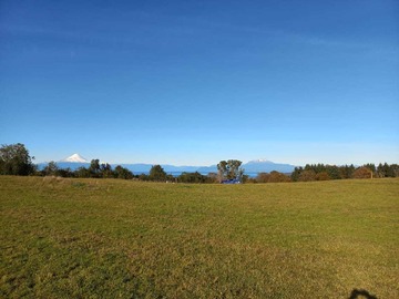 Venta / Terreno / Frutillar