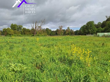 Venta / Terreno / Frutillar