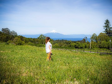 Venta / Terreno / Frutillar