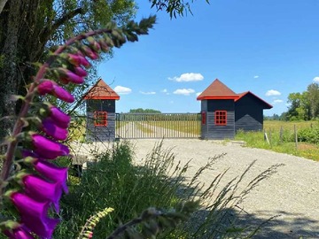 Venta / Terreno / Frutillar