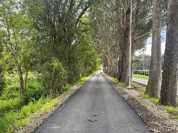 Venta / Terreno / Frutillar