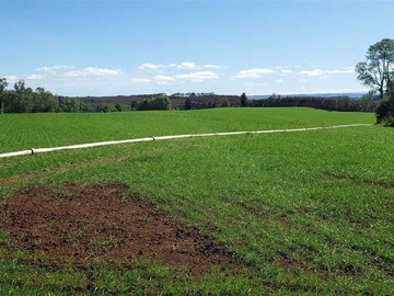 Venta / Terreno / Frutillar