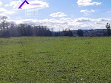 Venta / Terreno / Frutillar