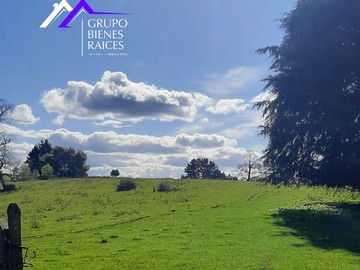 Venta / Terreno / Frutillar