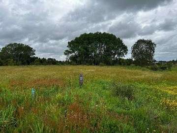 Venta / Terreno / Frutillar