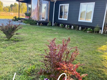 Venta / Terreno / Frutillar