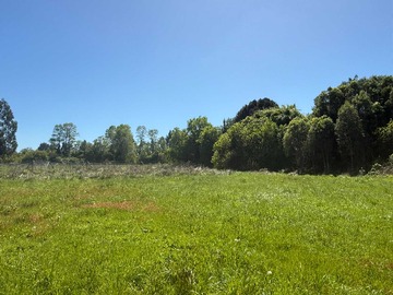 Venta / Terreno / Frutillar