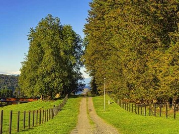 Venta / Terreno / Frutillar