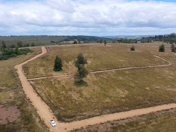 Venta / Terreno / Frutillar